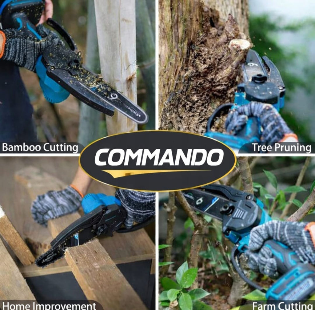 2-IN-1 SET SAW + PRUNER 650W (C14)