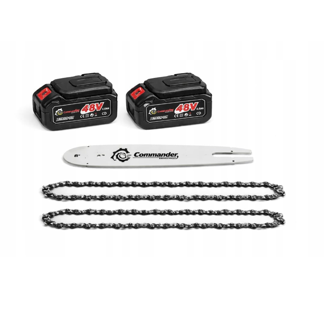 2-IN-1 SET SAW + PRUNER 650W (C14)