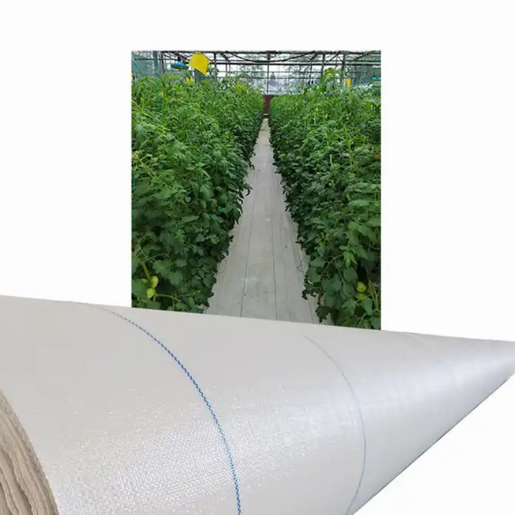 Weed Control Fabric 100g 1.6x50m White UV