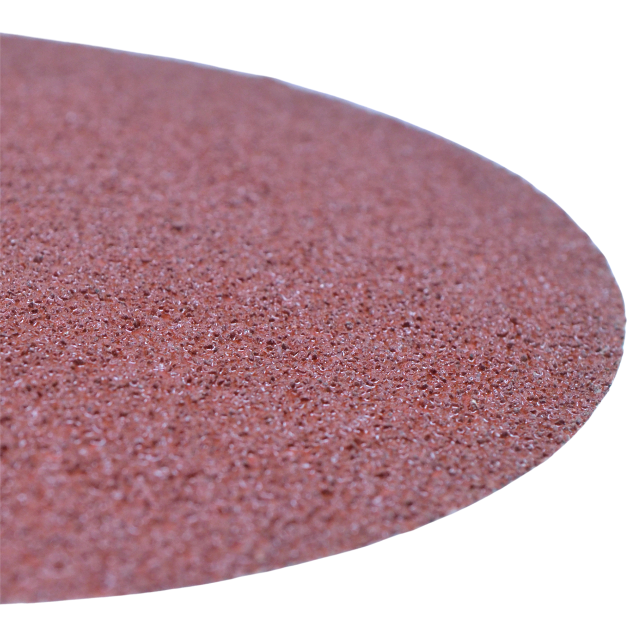 50x 125mm abrasiivketast, karedusega 36, isekleepuv Velcro (VC9) peal