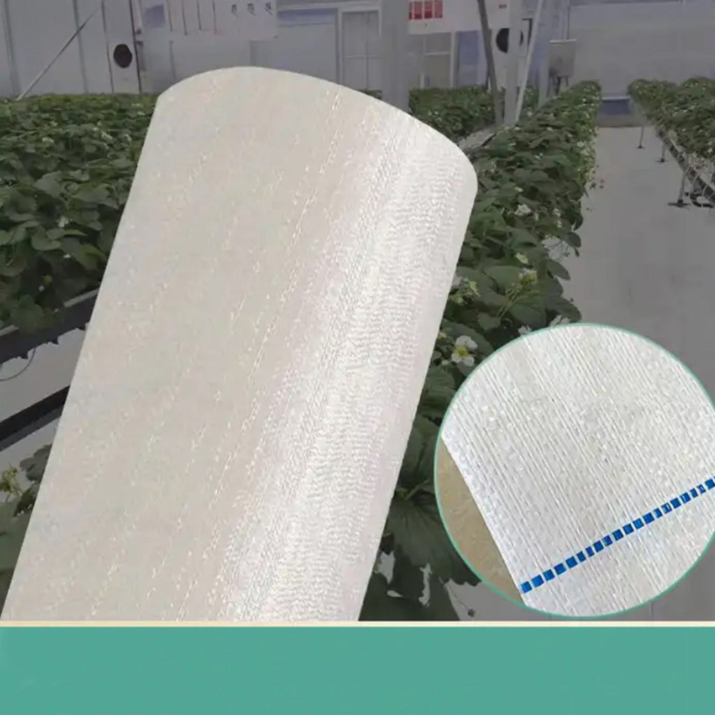 Weed Control Fabric 100g 1.6x50m White UV