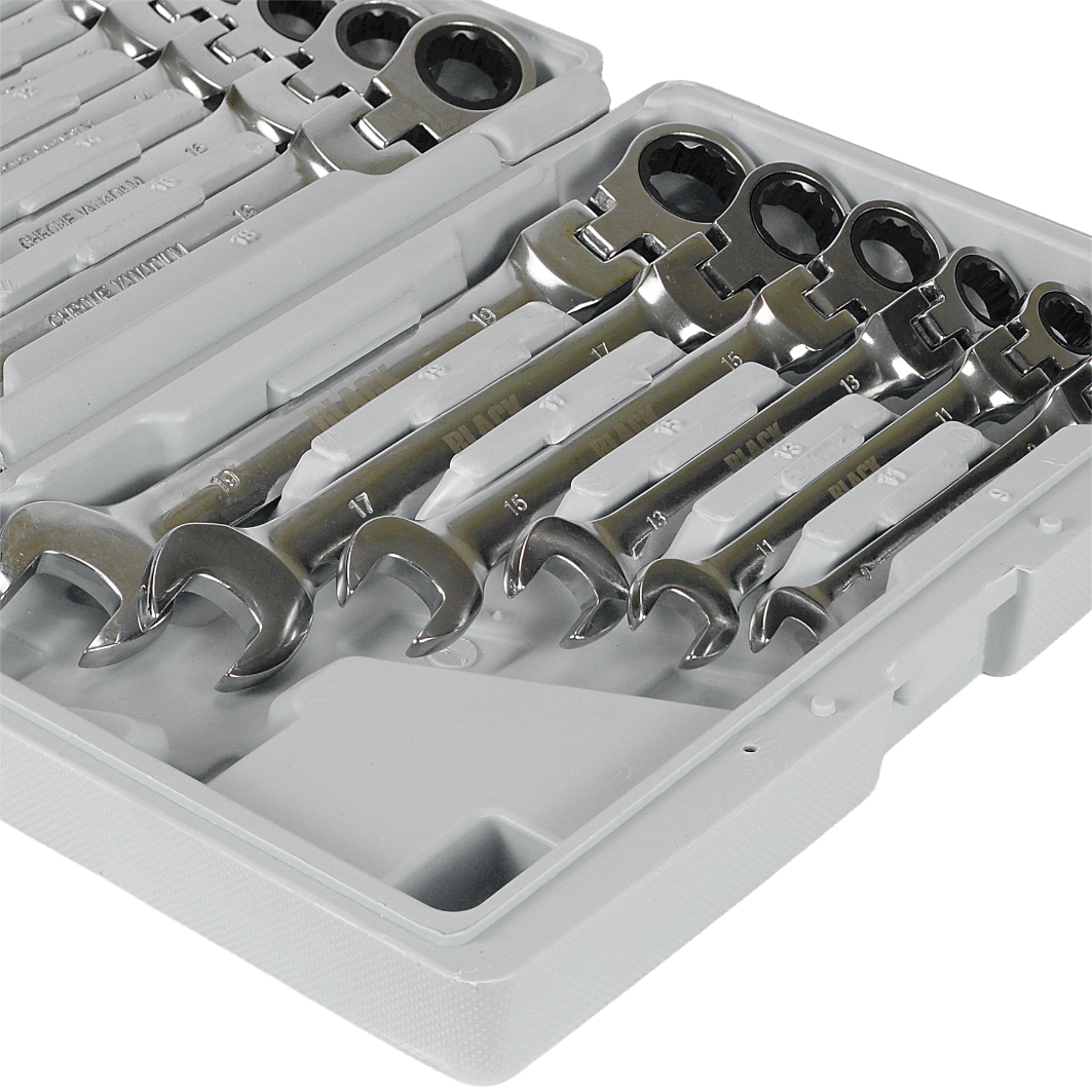 12-osaline rätsel-kombinatsioonvõtmete komplekt 8-19mm Black koos karbiga