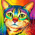 Diamond Painting 5D Mosaic Kit 65 - Colorful Cat Design