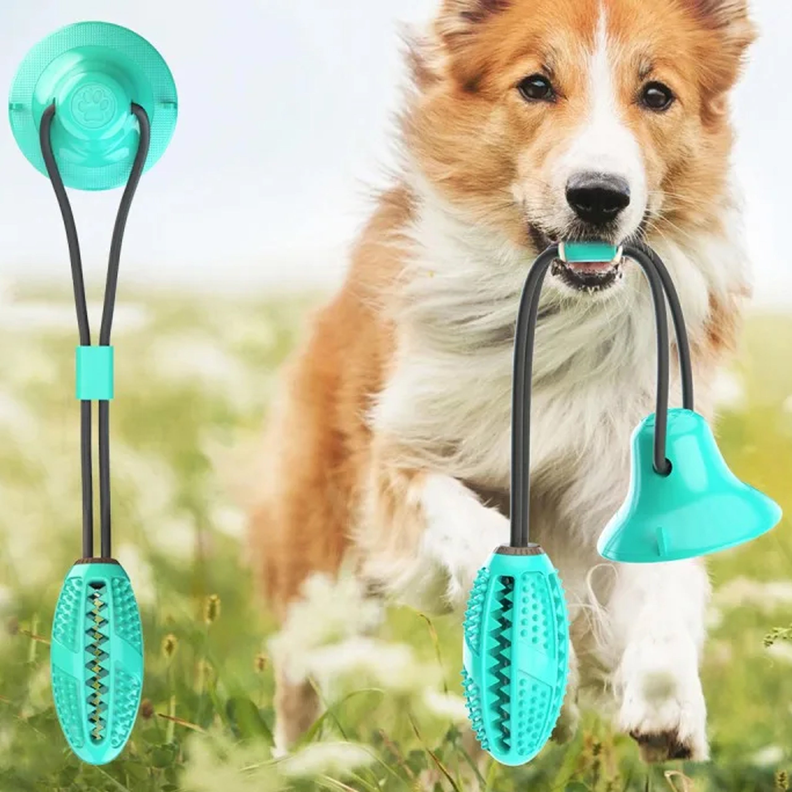 Interaktiivne koera maiusemänguasi aardega iminapaga