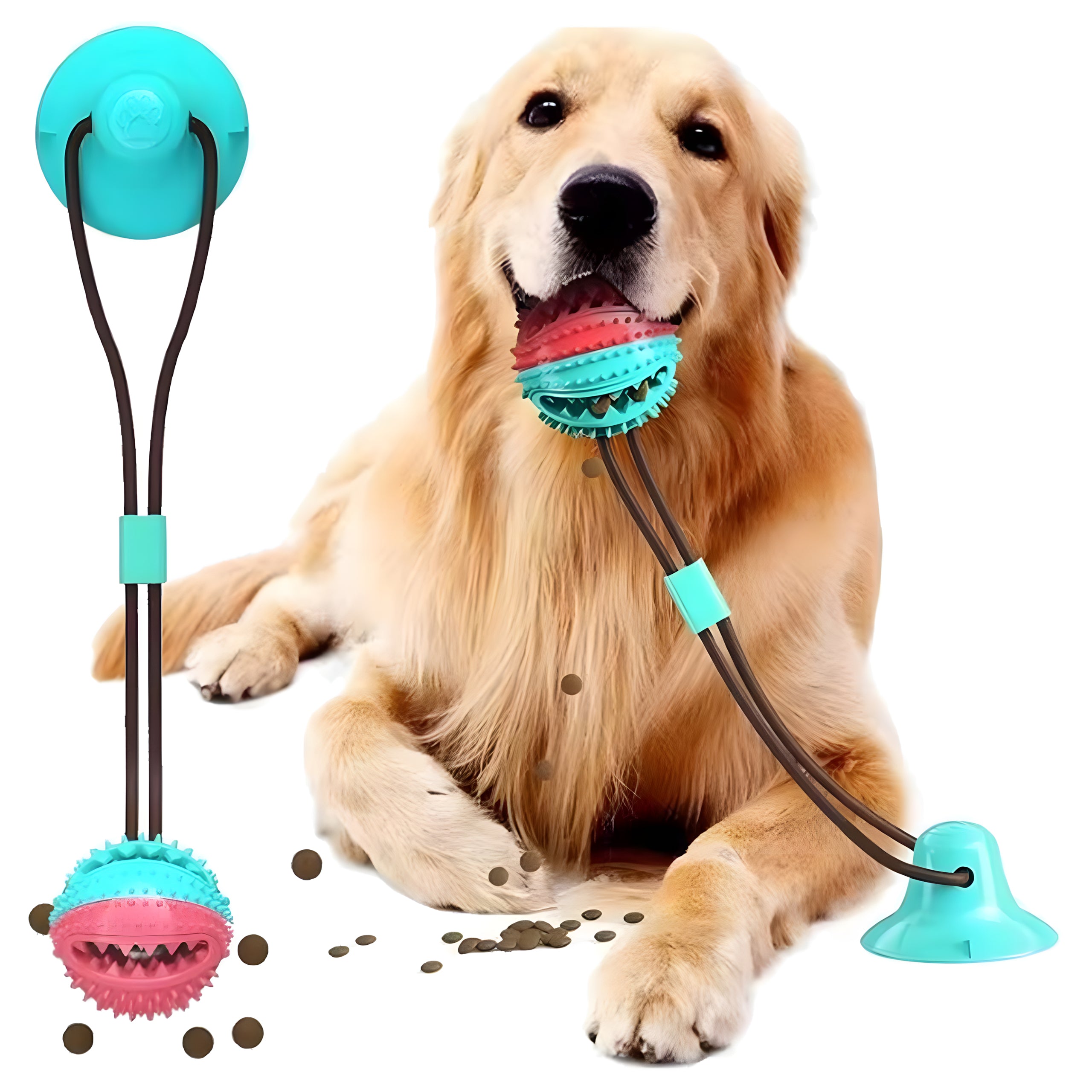 MAIUSEGA MÄNGUASI INTERAKTIIVNE KOERATOIT, PALL IMIKUPAGA, NÄRIMISMÄNGUASI