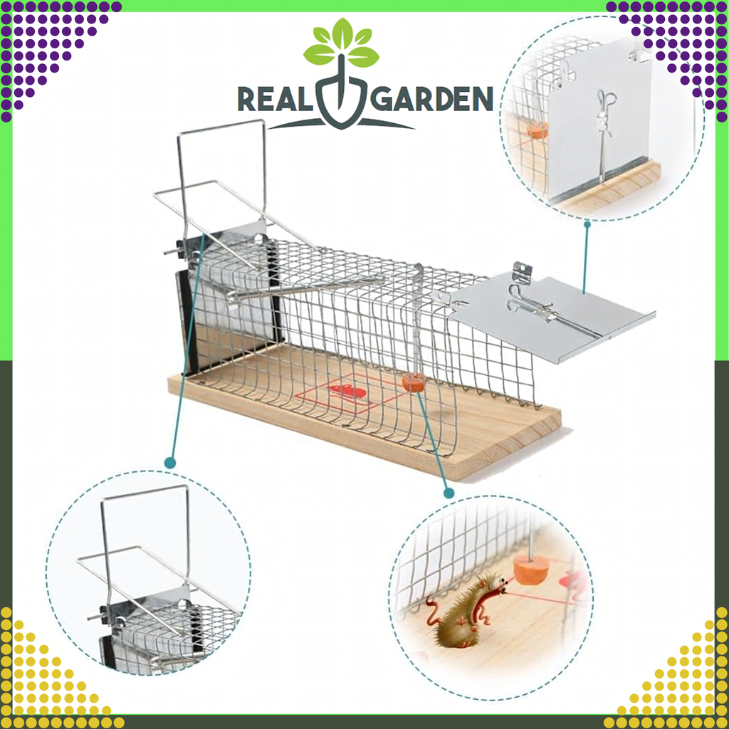 2x Humanitarian Live Trap for Rats and Rodents XXL