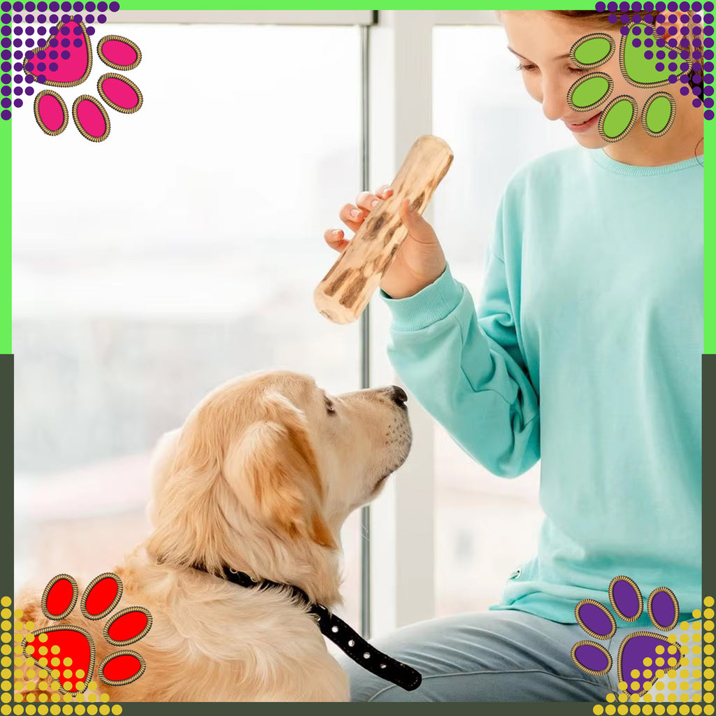 Puidust närimisleluga loomulik koertele, vastupidav mänguasi 14x2cm