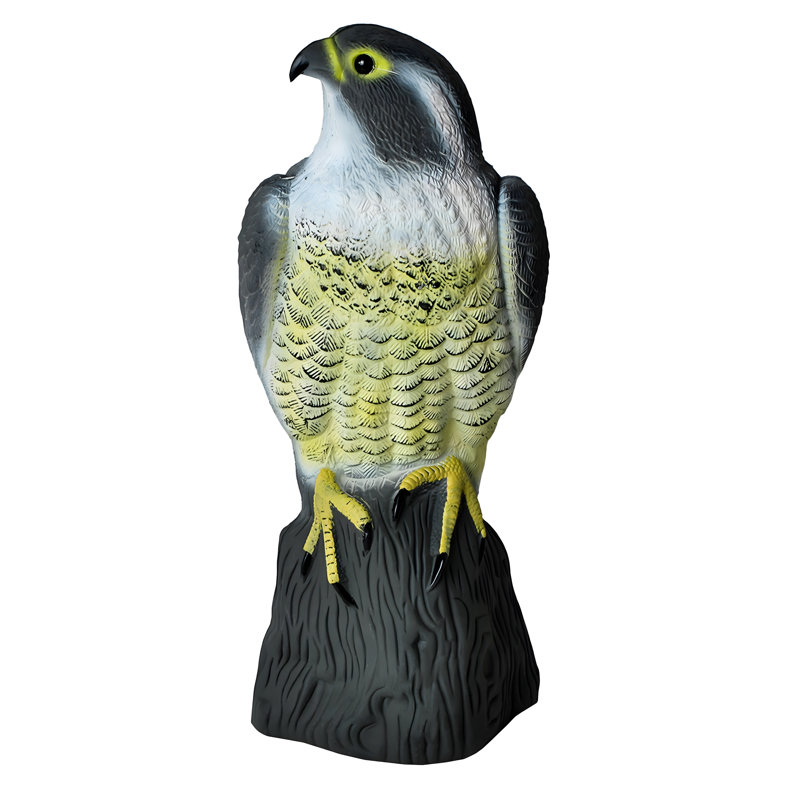 Sokół Duży lindude peletaja realistlik linnukuju