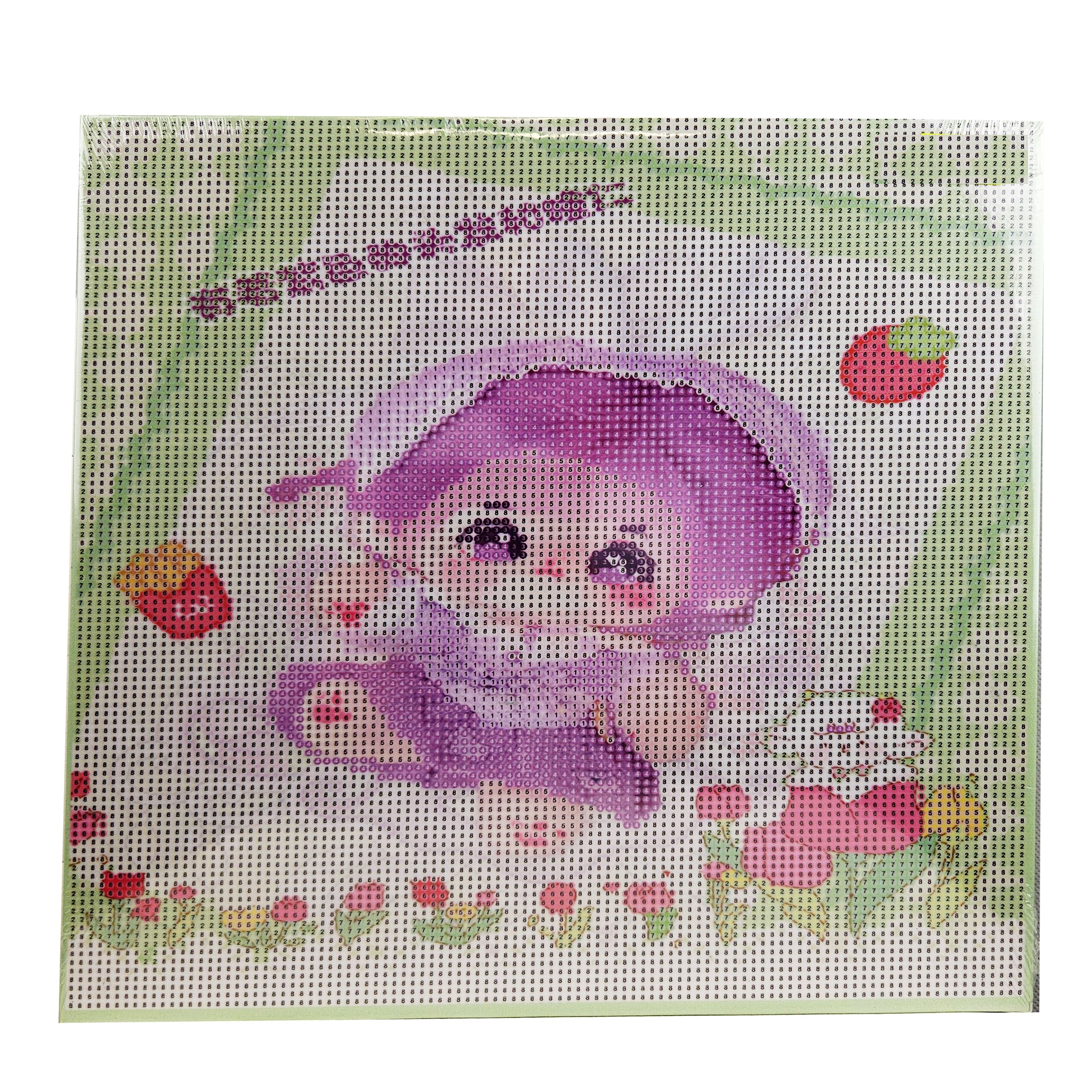 Teemanttikand 30x30 Teemantmaal Teemantmosaiik Anime Pilt