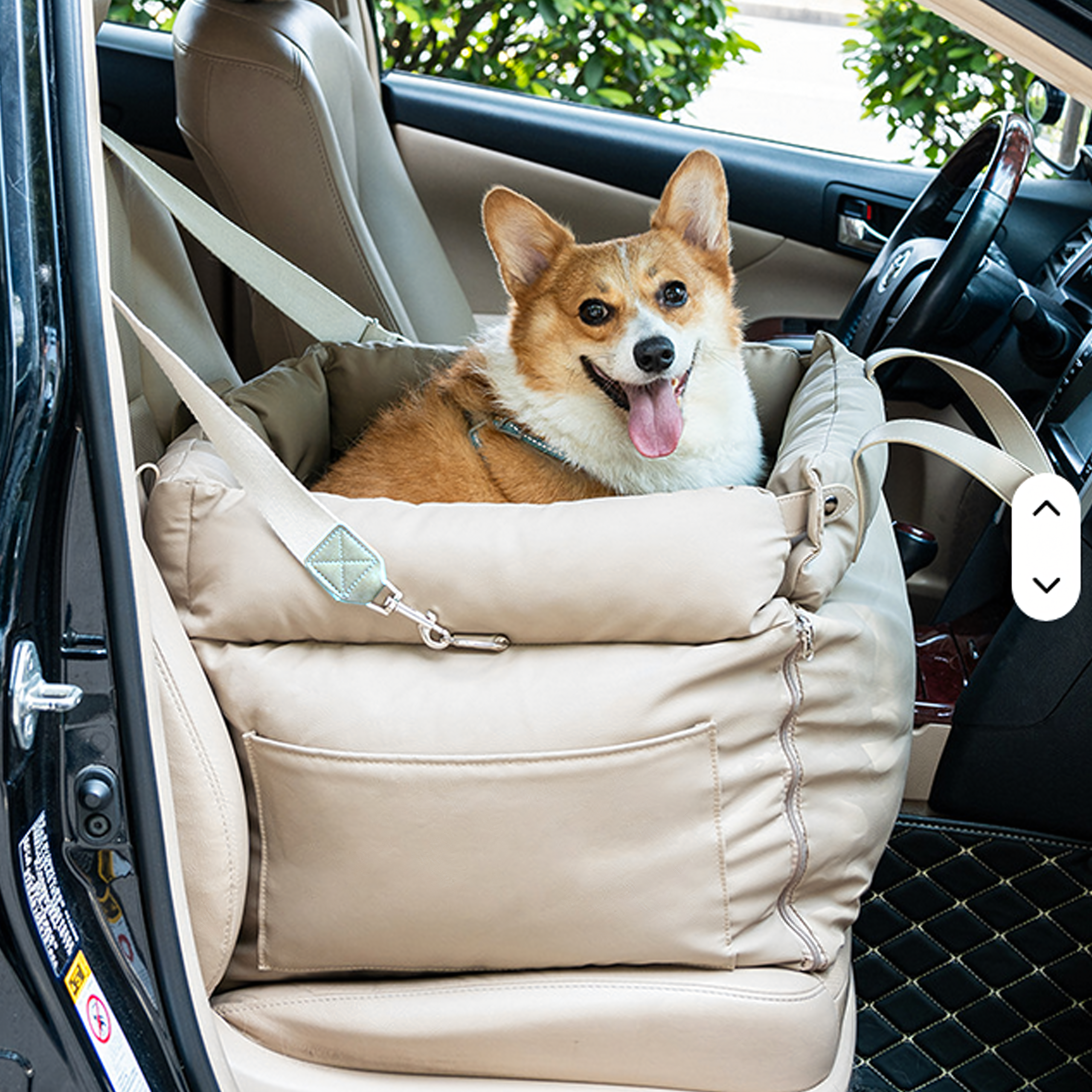 Nahast transpordikott voodiga koerale ja kassile autole PREMIUM