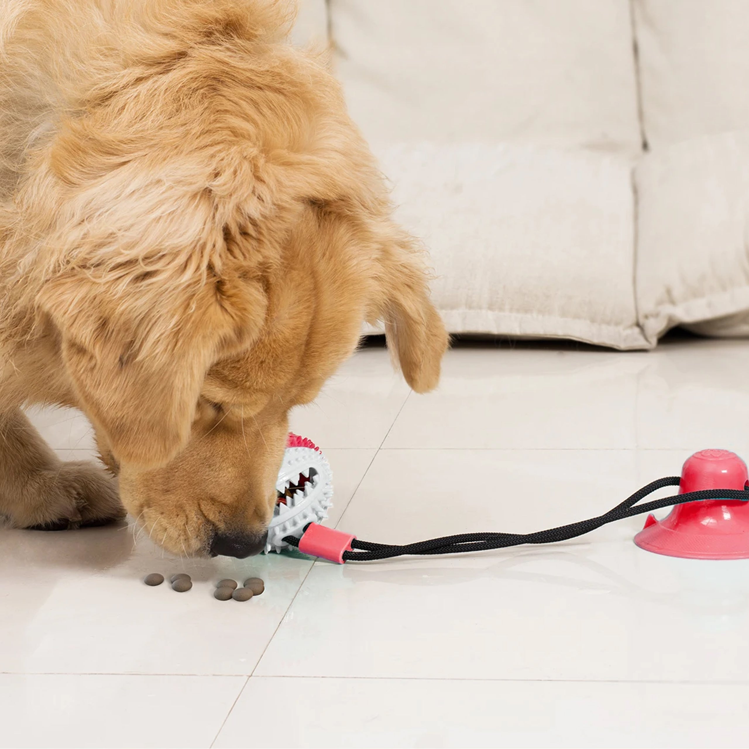 Mänguasi maiuse jaoks, interaktiivne koeratoit, pall iminapaga, närimislelu