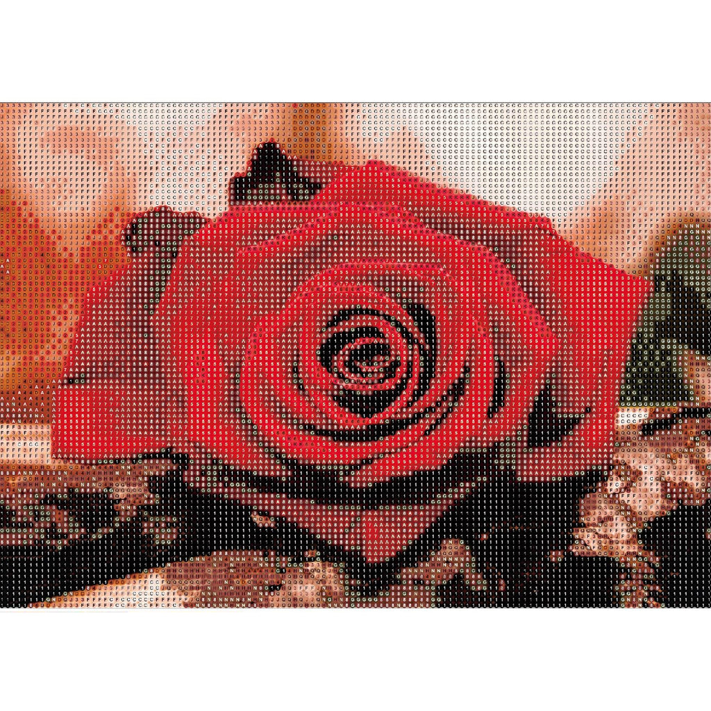 Diamond Painting 5D Mosaic Set with Canvas and Frame 20x30 cm