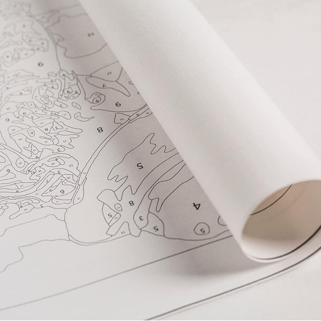 Numbrite järgi maalimise lõuend raamiga, isetegemise komplekt, pintslid, värvid, 30x40