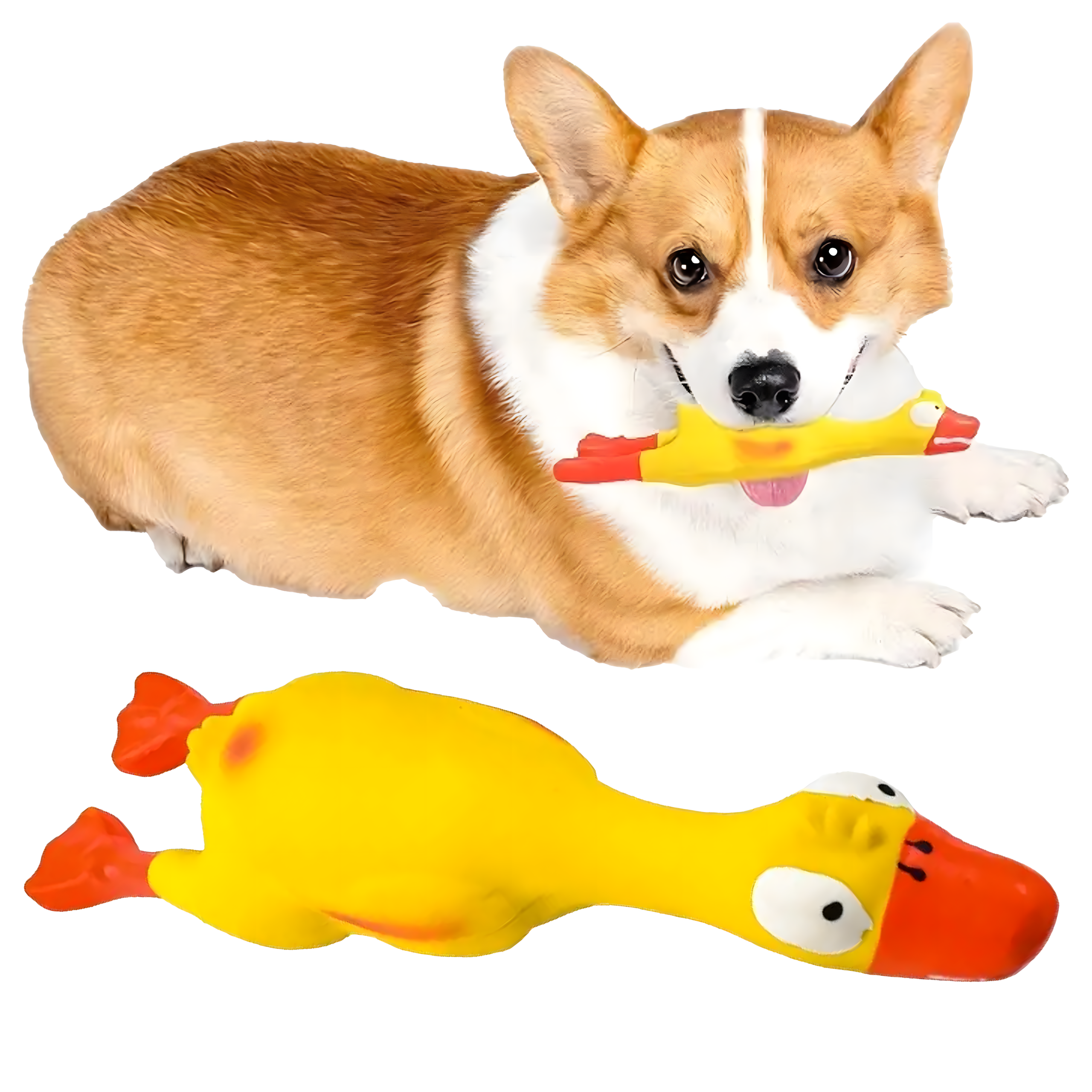 Piiksuv suur kummist kana mänguasi, suur, koerale ja kutsikale närimiseks, 22 cm