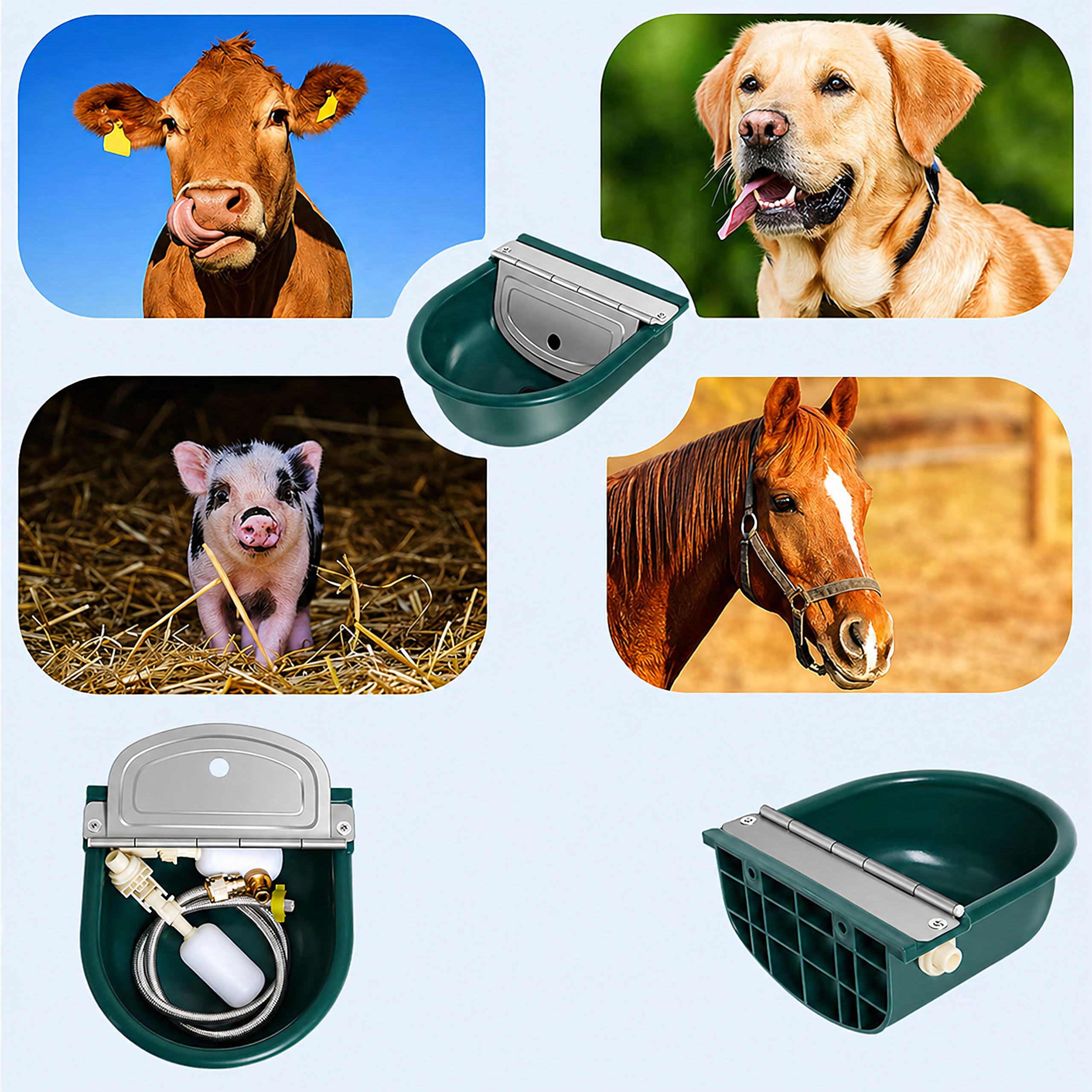 Automatic Float Bowl Waterer with Float for Cattle 4L