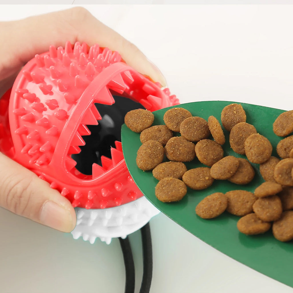 Mänguasi maiuse jaoks, interaktiivne koeratoit, pall iminapaga, närimislelu