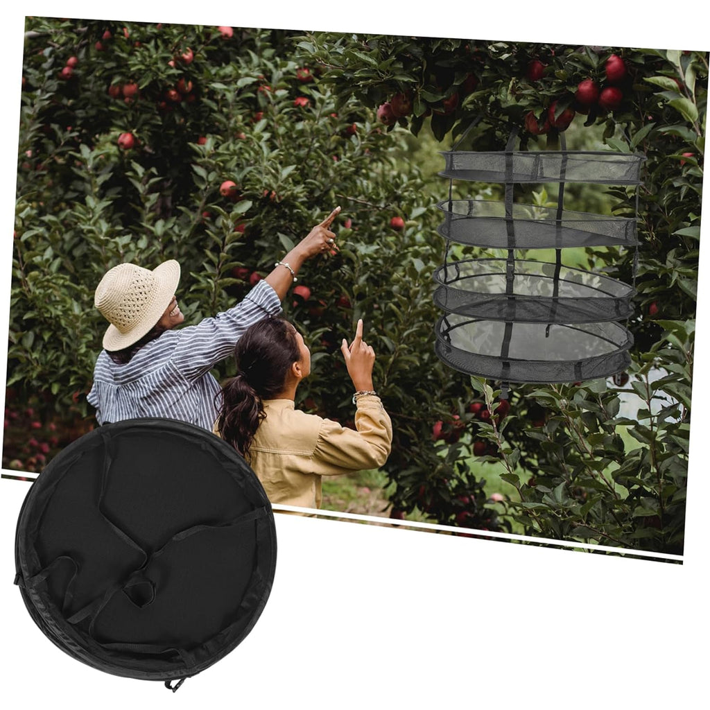 Drying Net Dryer for Mushrooms, Herbs, Vegetables, Plants 4 Shelves Adjustable