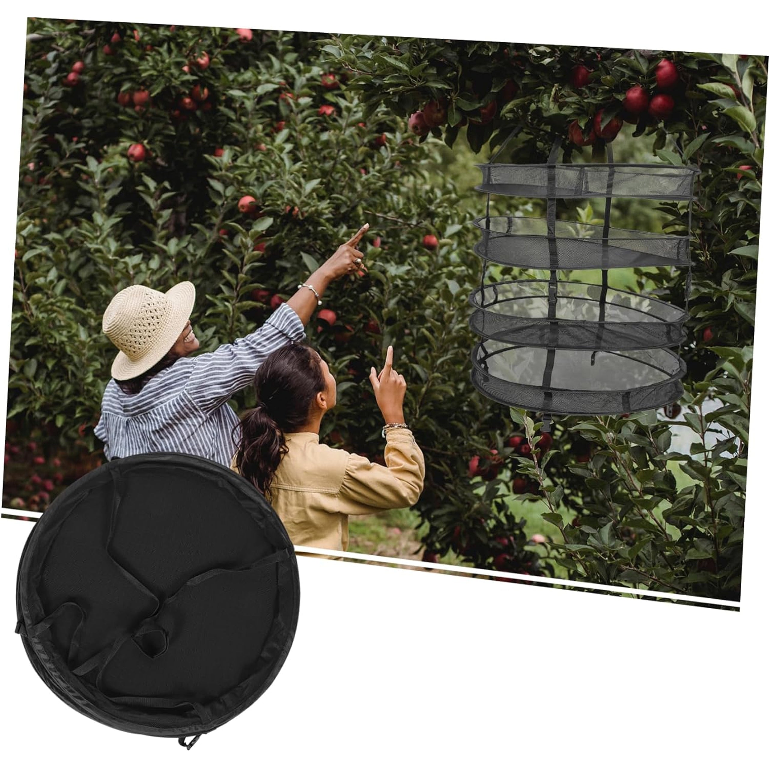 Drying Net Dryer for Mushrooms, Herbs, Vegetables, Plants 4 Shelves Adjustable