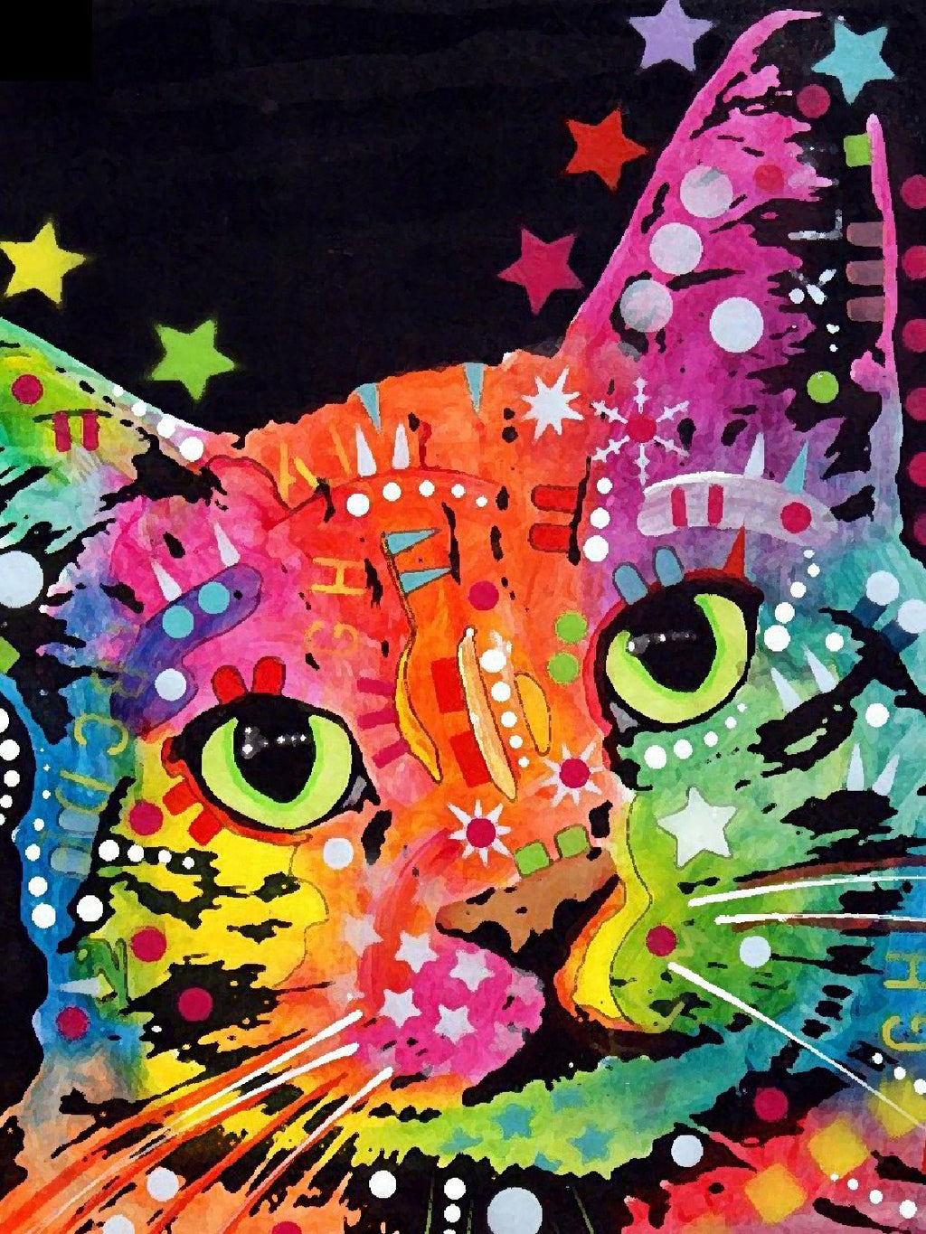 Diamond Painting 5D Mosaic Kit 99 - Colorful Cat Design