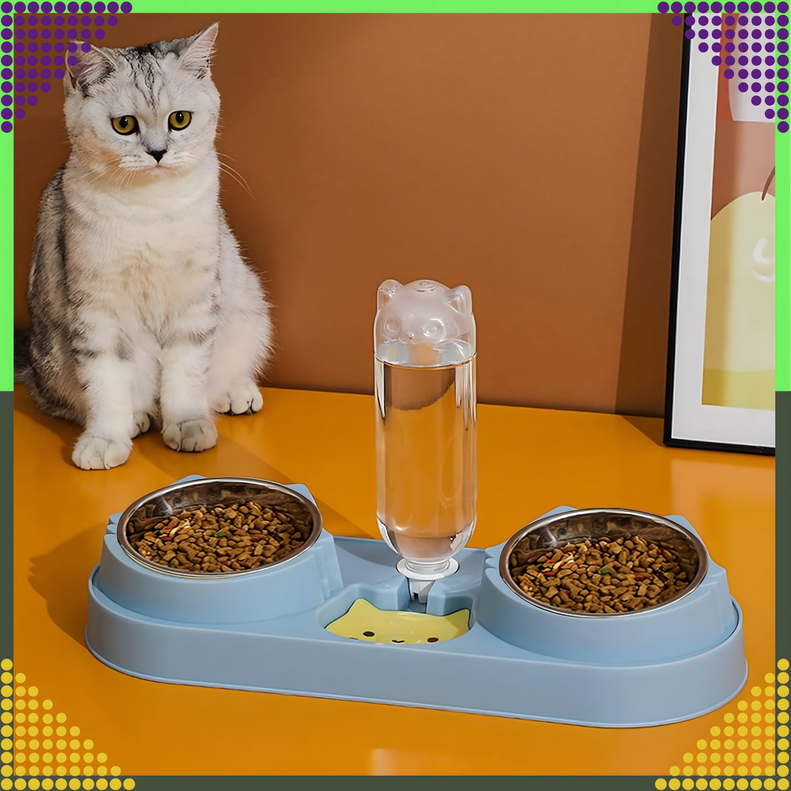 Kahe kausiga koera ja kassi vee- ning toidukauss veedosaatoriga