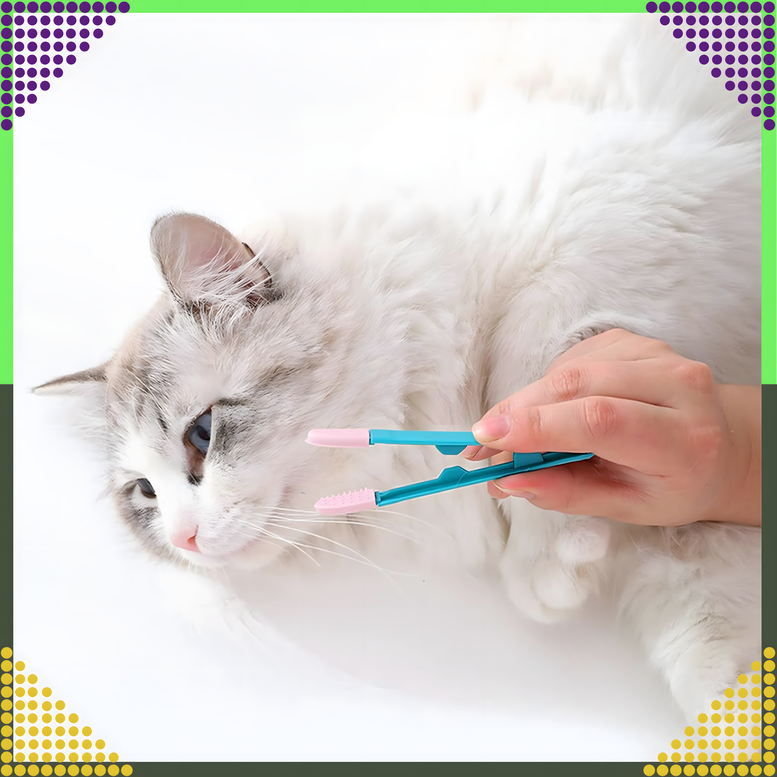 Lemmiklooma silmade hoolduskamm mädaste eritiste ja pisarate eemaldamiseks koertele ja kassidele