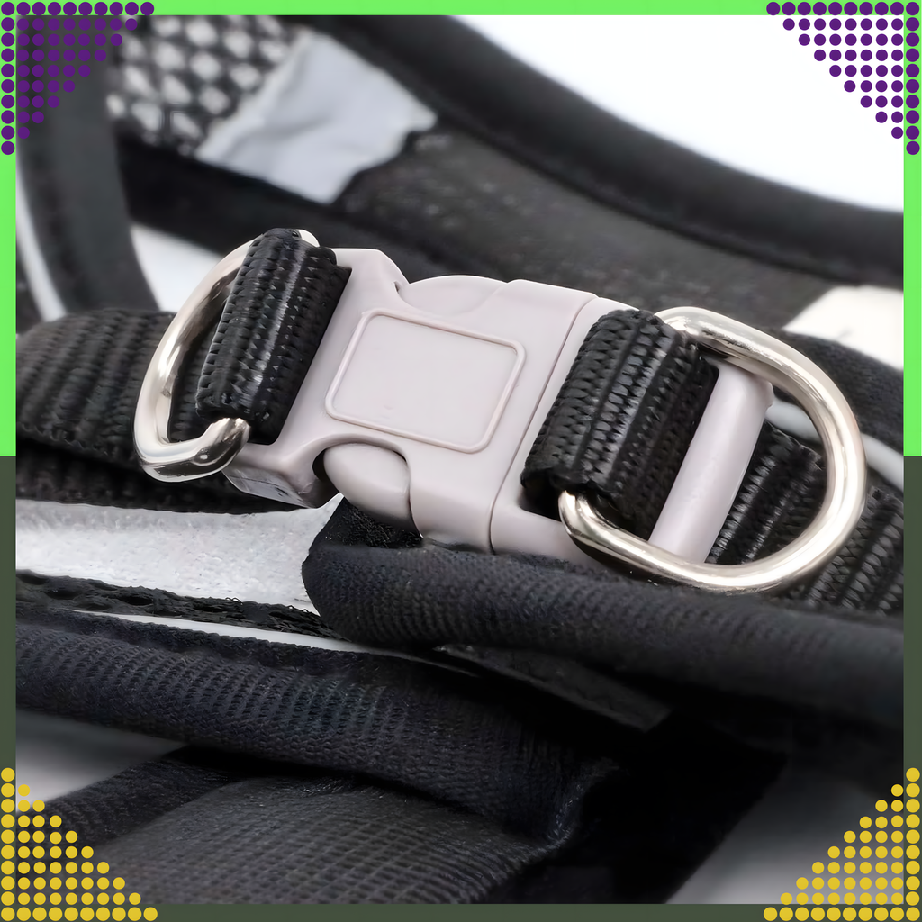 Tugevad, survevabad traksid, jalutusrihm väikestele koertele ja kassidele, vastupidav, suurus M