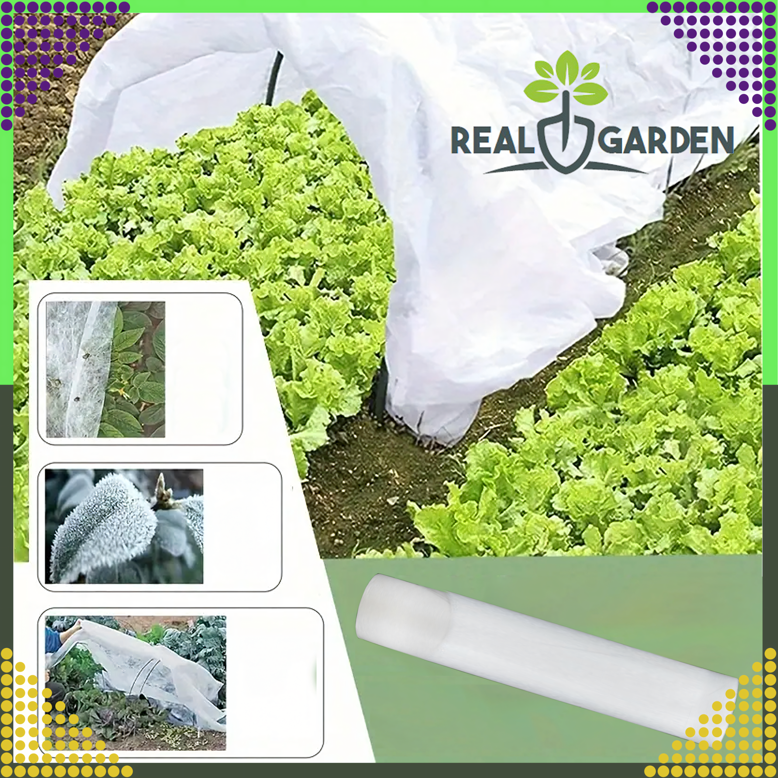 Talvine kaitsev agrotekstiil 50x1.6m 50g valge kate