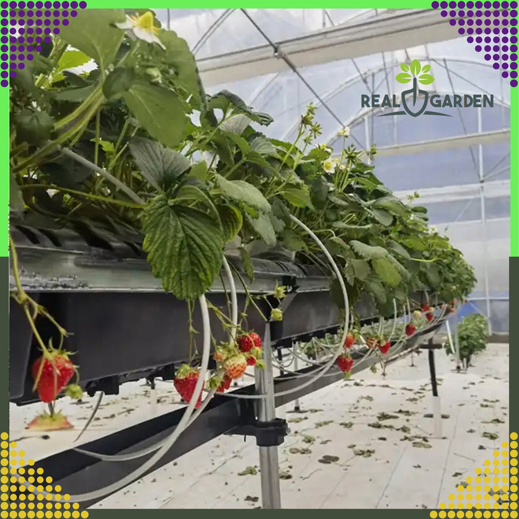 Agrotextile 70g 1.6x100m White UV Agro Fabric Weed Control Mat with Anchors