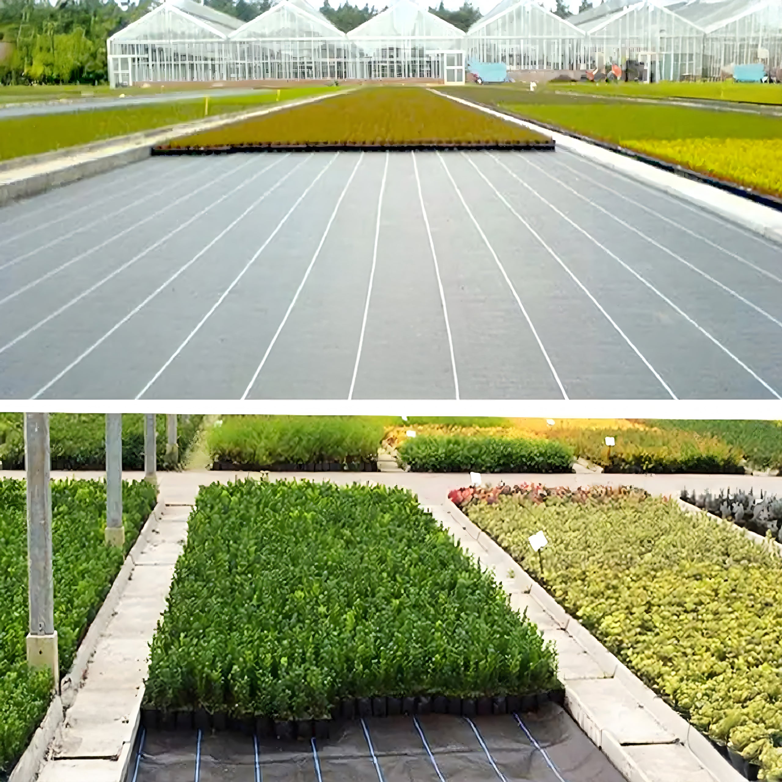 60x Agrotekstiil 90G 1.6x50m Black UV umbrohutõrje matt