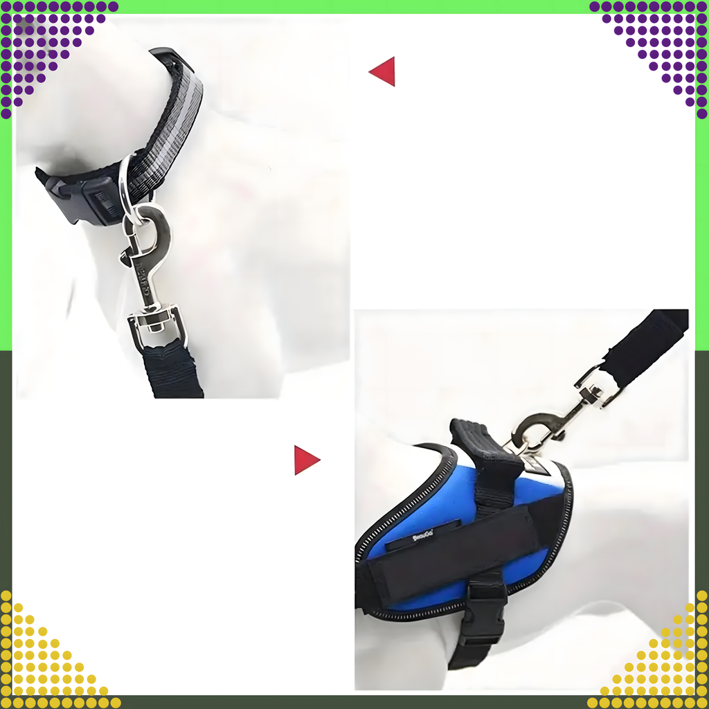 Turvavöö koerale ja kassile autosse, reguleeritav rihm autole