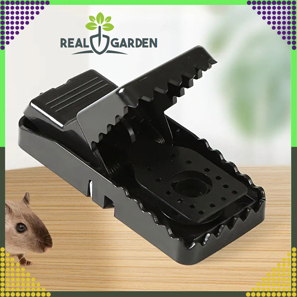 4x Mouse and Rat Trap Guillotine for Rodents