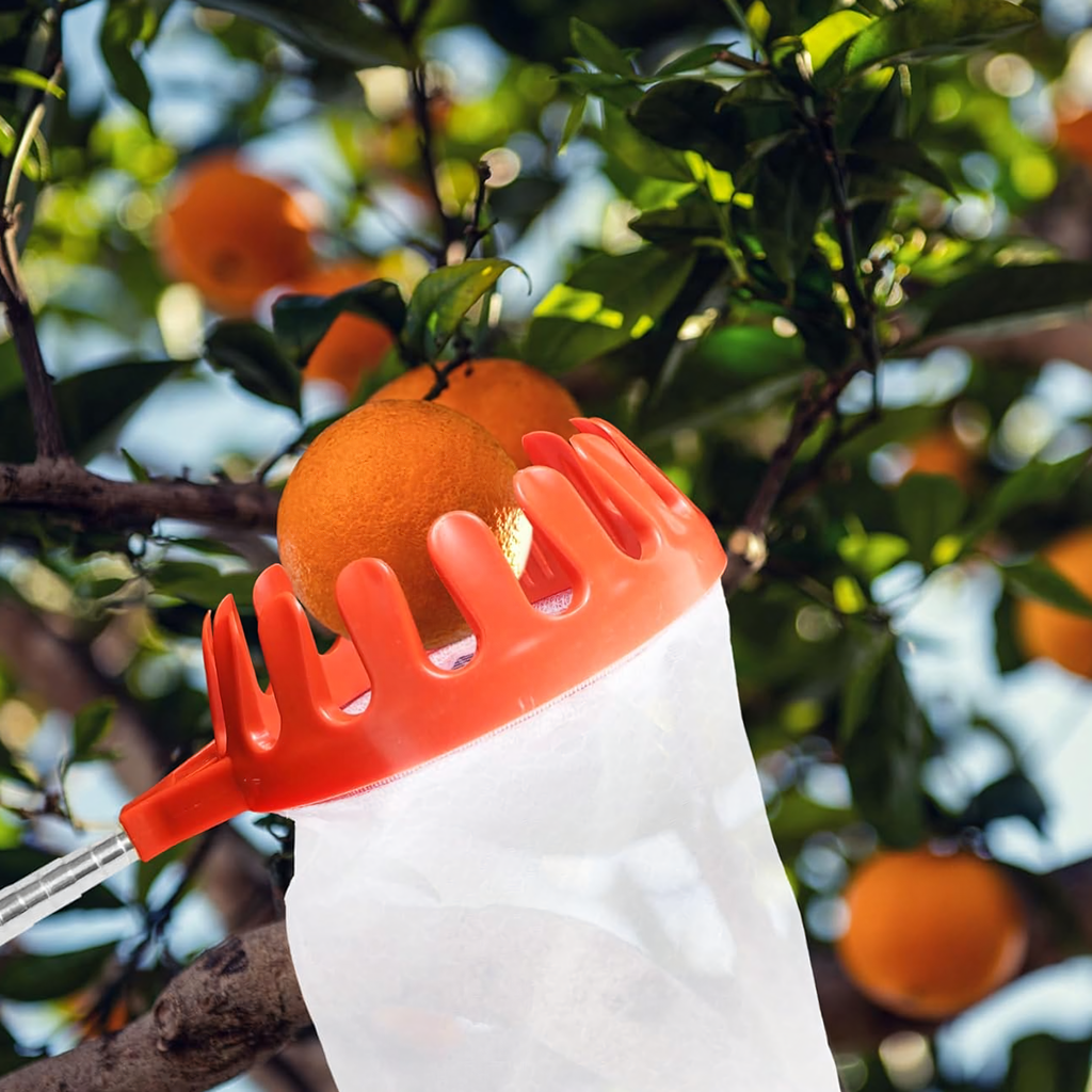 Puuviljakorv õunte ja teiste puuviljade korjamiseks