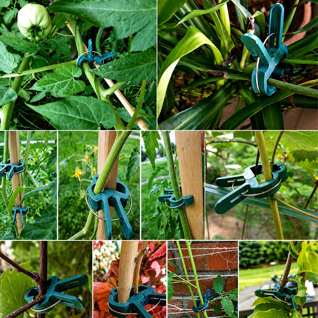 Tomatitaimede tugiklambrid 20 tk
