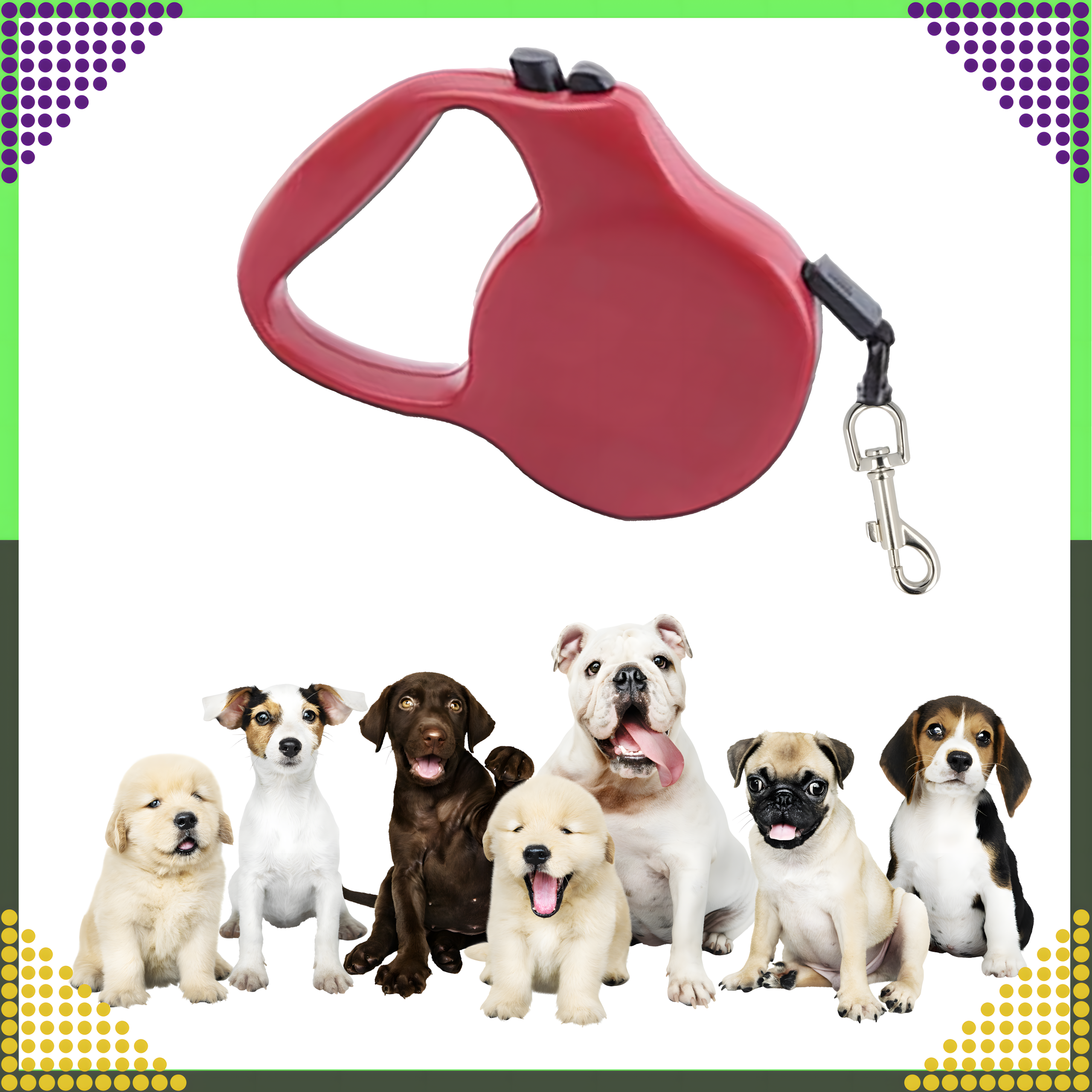 Strong Lightweight Retractable Tape Leash for Dog and Cat with Automatic Lock 5m