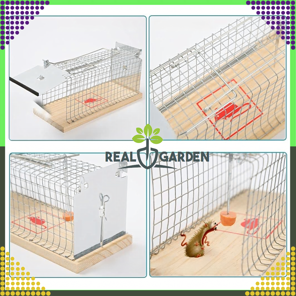 2x Humanitarian Live Trap for Rats and Rodents XXL