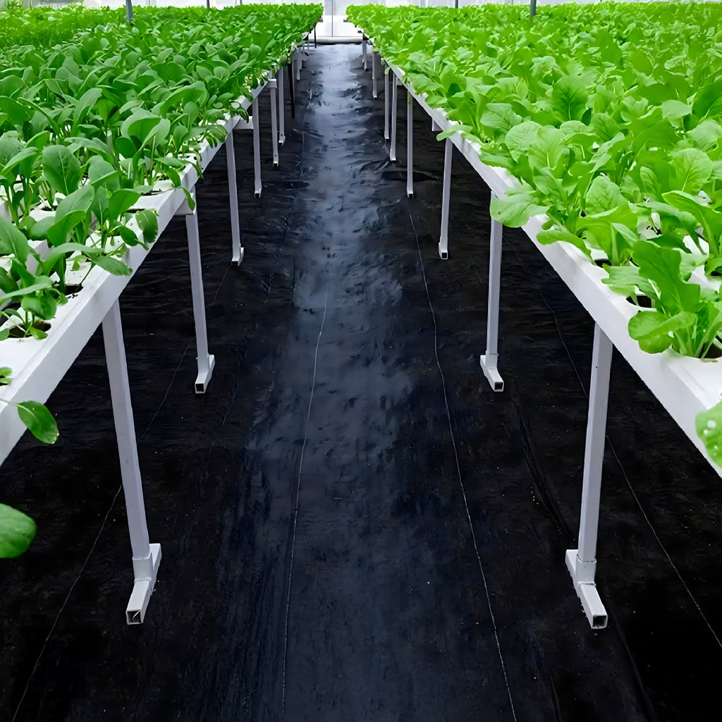 60x Agrotekstiil 90G 1.6x50m Black UV umbrohutõrje matt