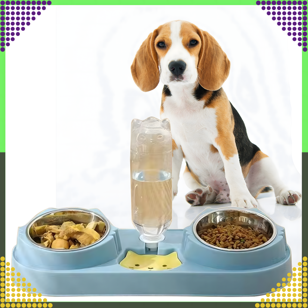 Kahe kausiga koera ja kassi vee- ning toidukauss veedosaatoriga