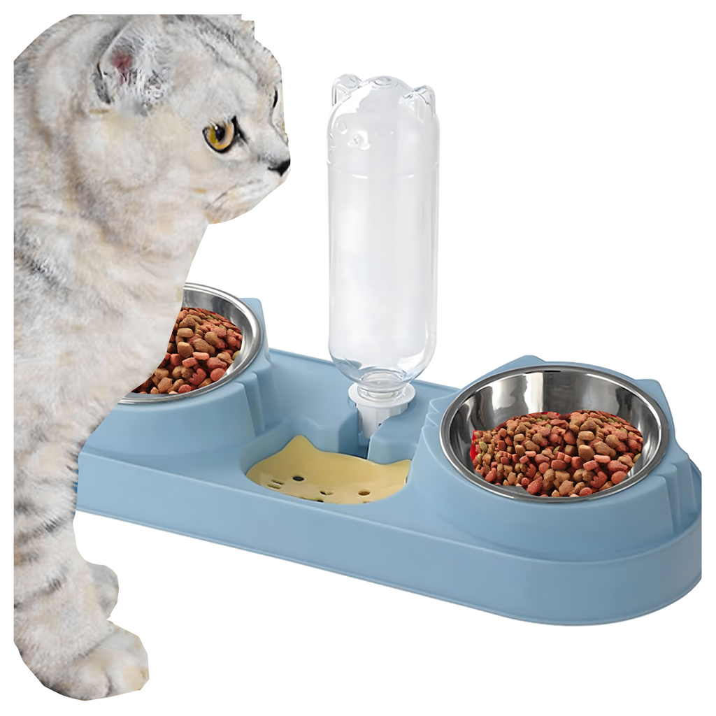 Kahe kausiga koera ja kassi vee- ning toidukauss veedosaatoriga