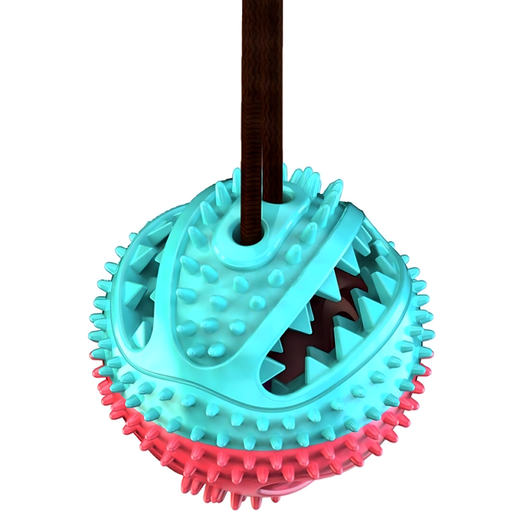 MAIUSEGA MÄNGUASI INTERAKTIIVNE KOERATOIT, PALL IMIKUPAGA, NÄRIMISMÄNGUASI