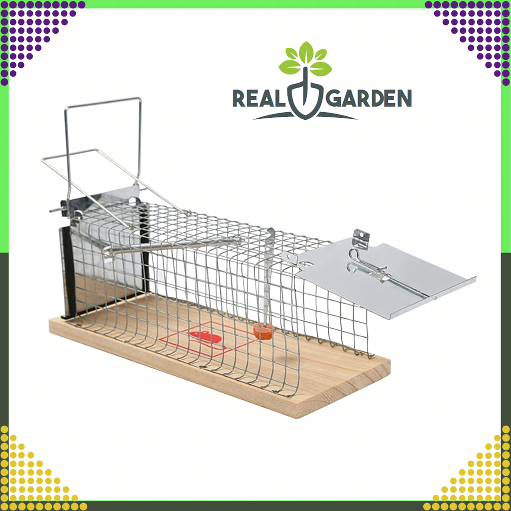 2x Humanitarian Live Trap for Rats and Rodents XXL