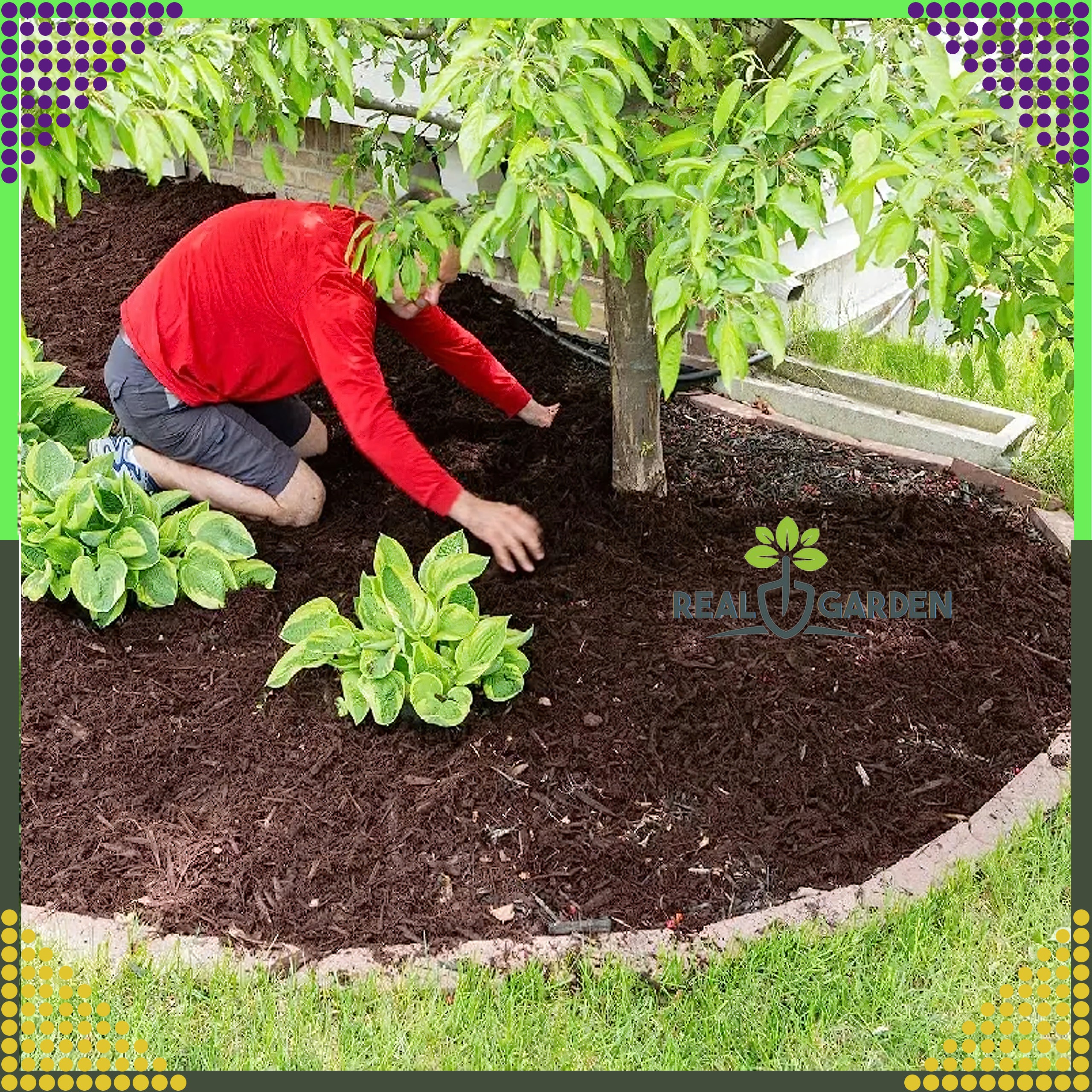 Agrotextile 70g 1.6x100m White UV Agro Fabric Weed Control Mat with Anchors