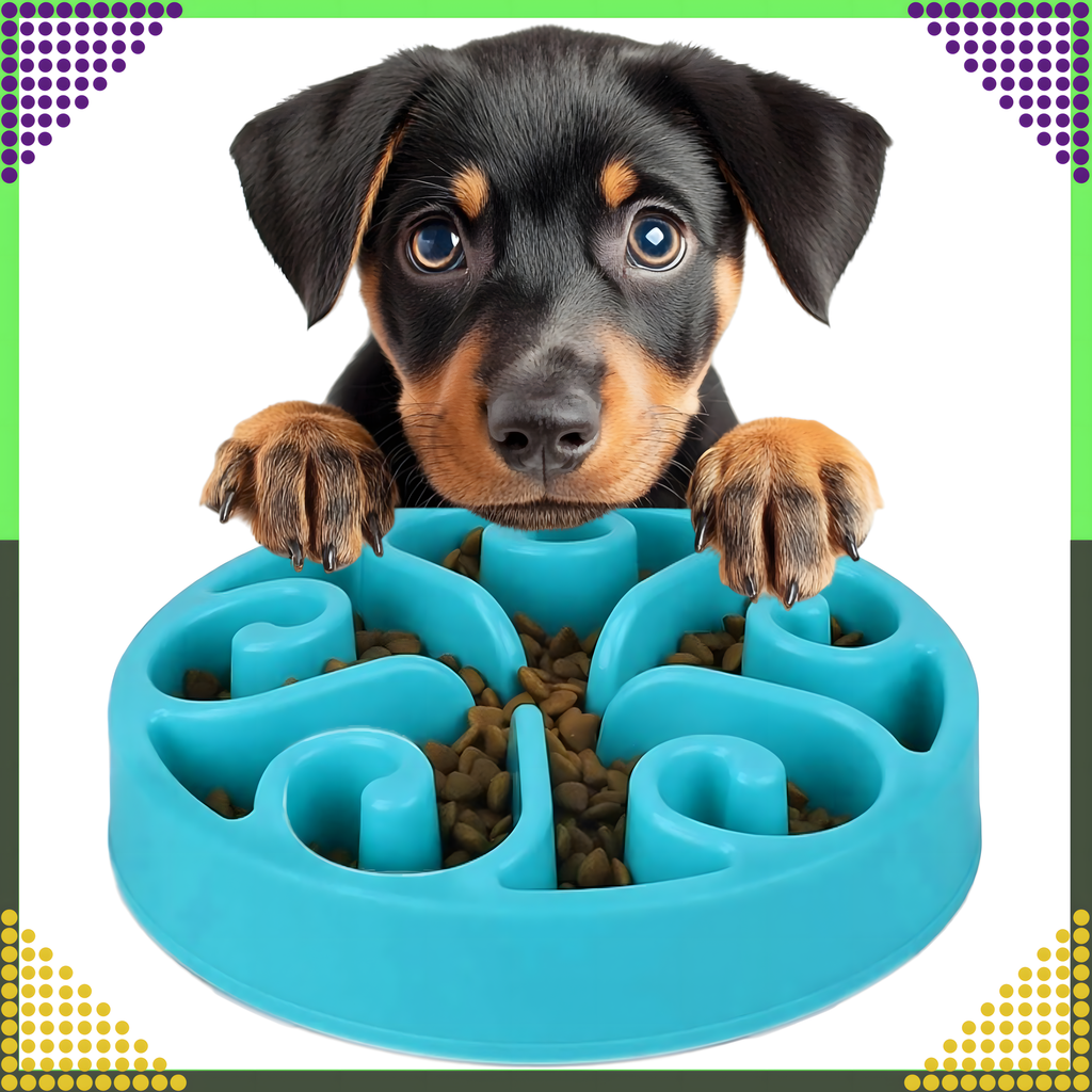 Toidu aeglustav kauss koerale, kassile ja teistele loomadele, suur, vaheseintega