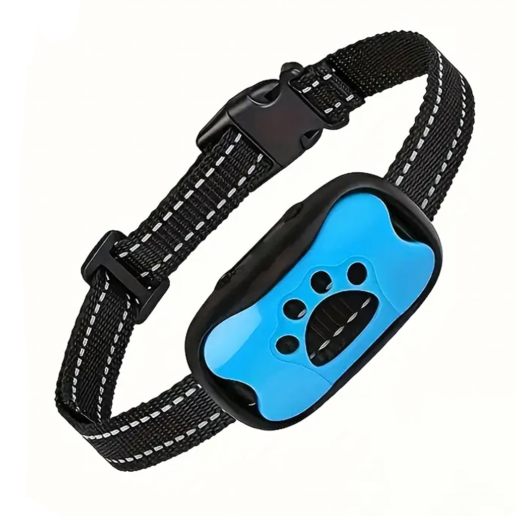 Elektriline veekindel koeratreeningu kaelarihm