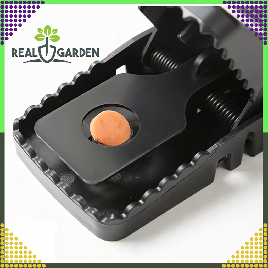 4x Mouse and Rat Trap Guillotine for Rodents