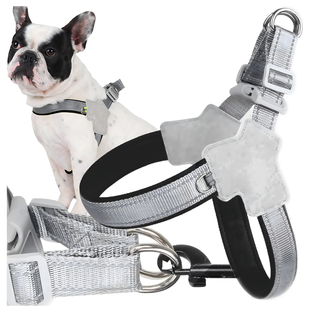 Tugevad, survevabad traksid, jalutusrihm väikestele koertele ja kassidele, suurus: M