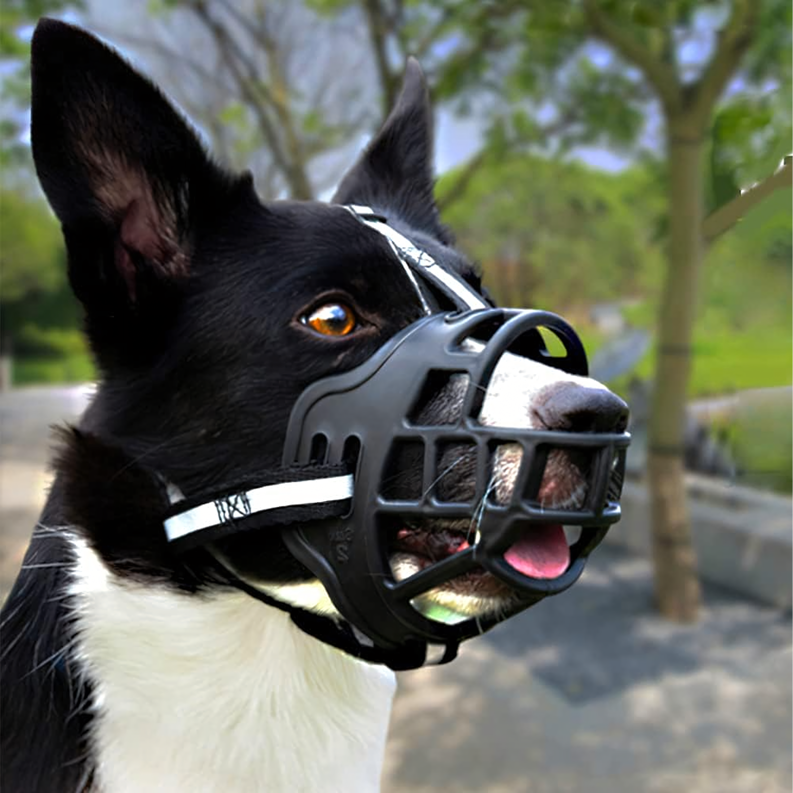 Füsioloogiline koeramuser kummist reguleeritav helkiv pehme 31-35 cm