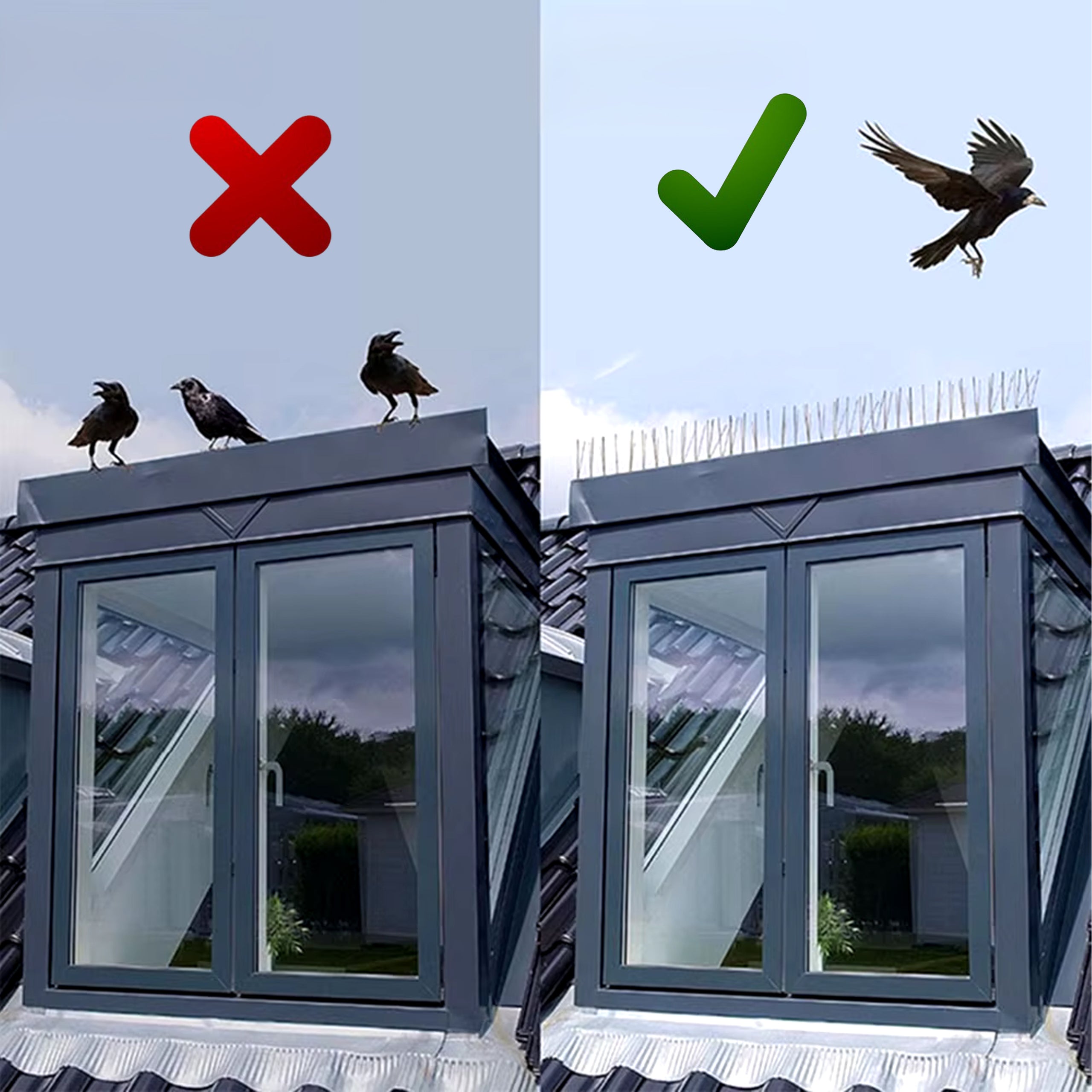 100 tk metallist roostevabast terasest linnupiigid aknalauale ja räästale 50 cm