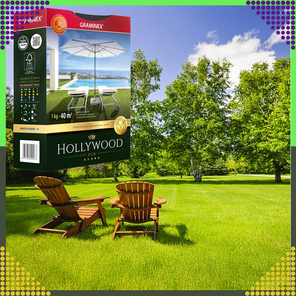 Premium Grass Seed Mix HOLLYWOOD 1kg for Sunny Dry Areas