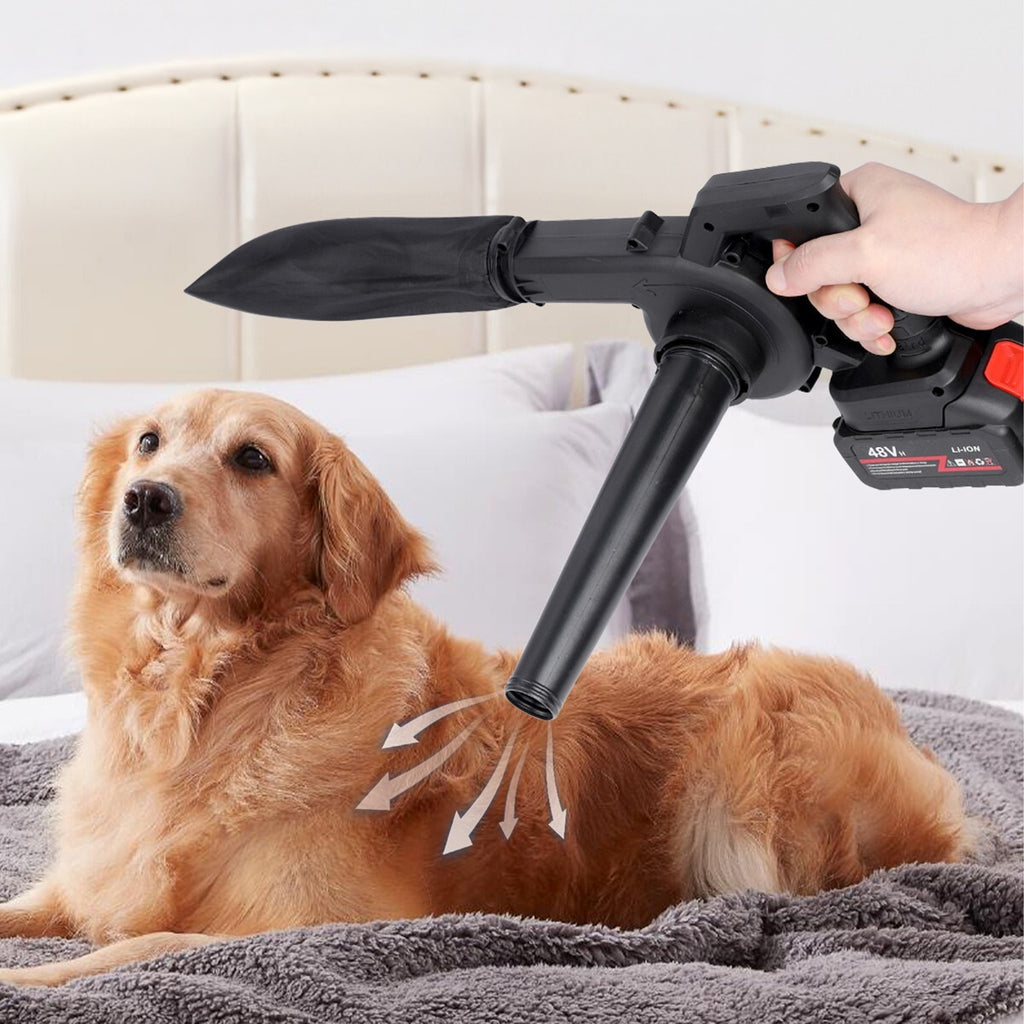 Võimas juhtmevaba käsikäes aialehepuhur 2-ühes