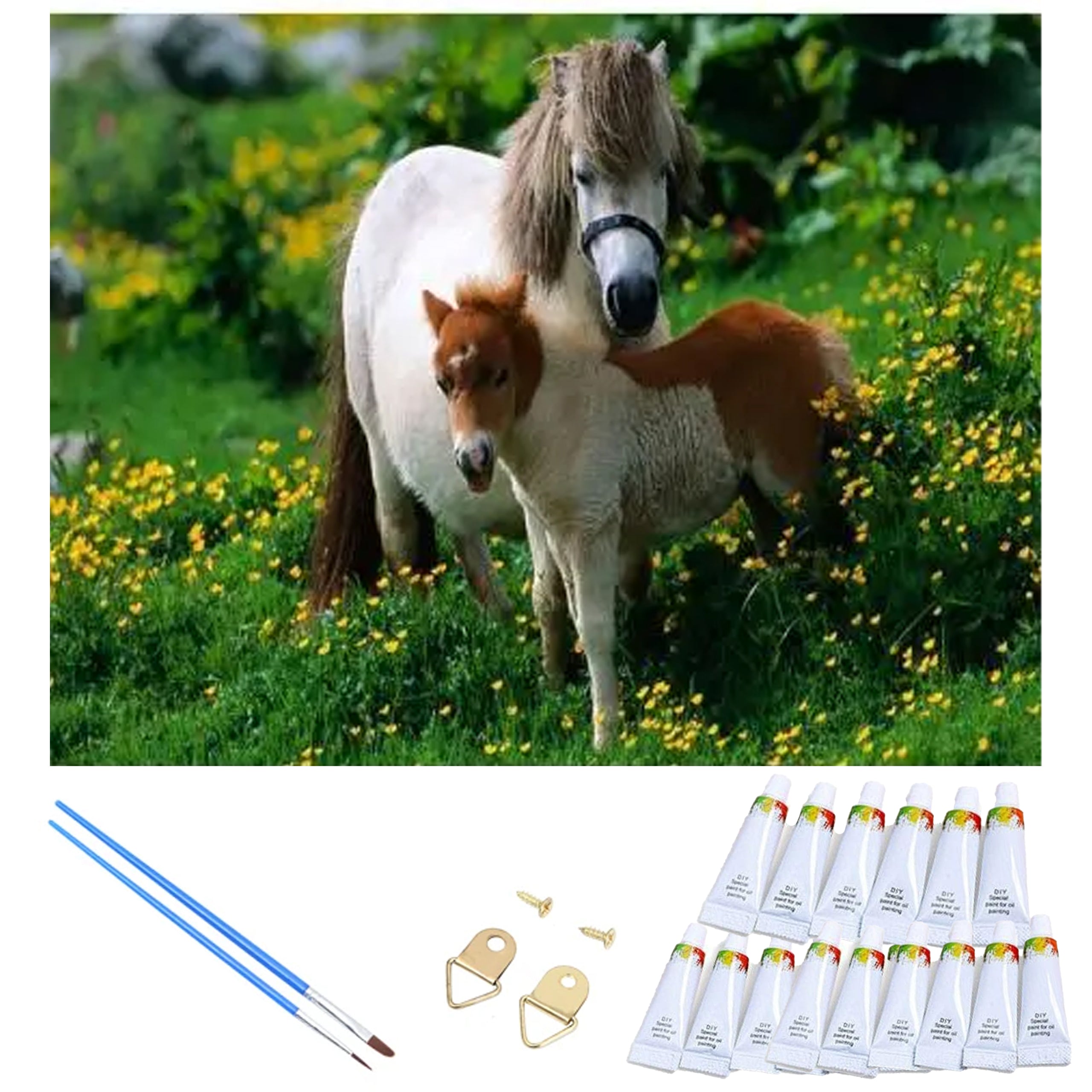 Numbrite järgi maalimise lõuend raamiga isetegemise komplekt pintslite ja värvidega 40x50